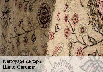 Nettoyage de tapis 31 Haute-Garonne  HUCHER William Tapisserie 31