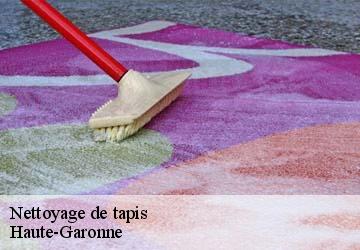 Nettoyage de tapis 31 Haute-Garonne  HUCHER William Tapisserie 31