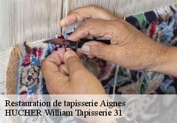 Restauration de tapisserie  aignes-31550 HUCHER William Tapisserie 31