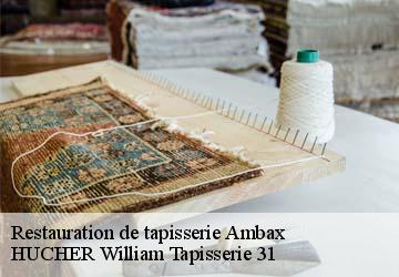 Restauration de tapisserie  ambax-31230 HUCHER William Tapisserie 31