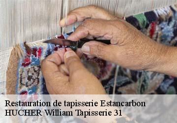 Restauration de tapisserie  estancarbon-31800 HUCHER William Tapisserie 31