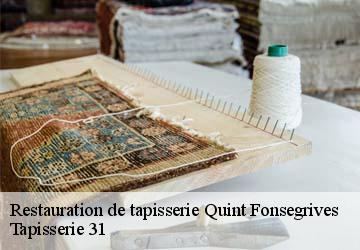 Restauration de tapisserie quint-fonsegrives-31130 Tapisserie 31