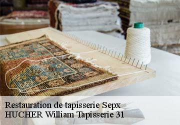 Restauration de tapisserie  sepx-31360 HUCHER William Tapisserie 31