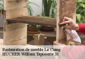 Restauration de meuble  le-cuing-31210 HUCHER William Tapisserie 31