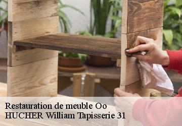 Restauration de meuble  oo-31110 HUCHER William Tapisserie 31