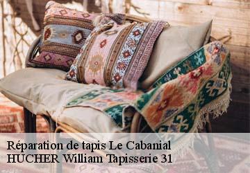 Réparation de tapis  le-cabanial-31460 HUCHER William Tapisserie 31