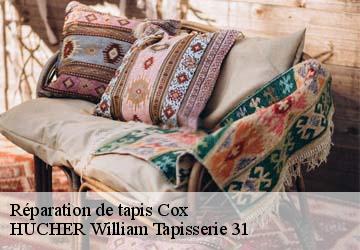 Réparation de tapis  cox-31480 HUCHER William Tapisserie 31