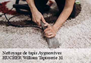Nettoyage de tapis  ayguesvives-31450 HUCHER William Tapisserie 31