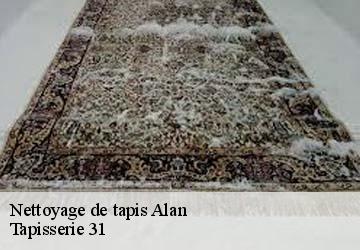 Nettoyage de tapis  alan-31420 Tapisserie 31
