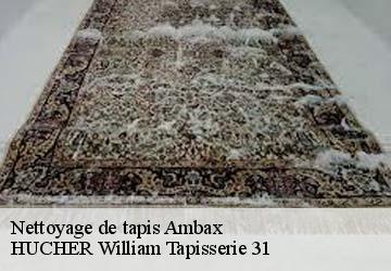 Nettoyage de tapis  ambax-31230 HUCHER William Tapisserie 31
