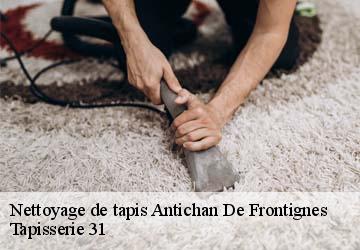 Nettoyage de tapis antichan-de-frontignes-31510 Tapisserie 31
