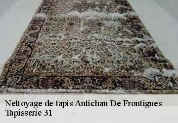 Nettoyage de tapis antichan-de-frontignes-31510 Tapisserie 31