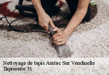 Nettoyage de tapis  auriac-sur-vendinelle-31460 Tapisserie 31