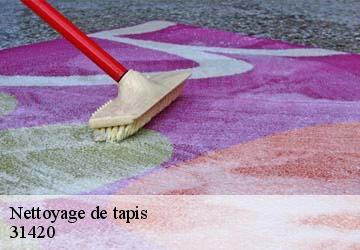 Nettoyage de tapis  aurignac-31420 HUCHER William Tapisserie 31