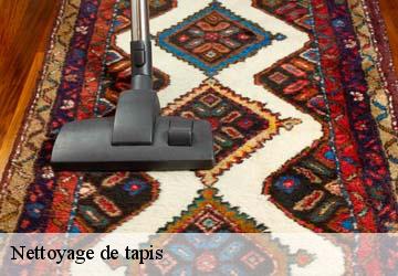Nettoyage de tapis  aussonne-31840 HUCHER William Tapisserie 31