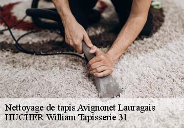 Nettoyage de tapis  avignonet-lauragais-31290 HUCHER William Tapisserie 31