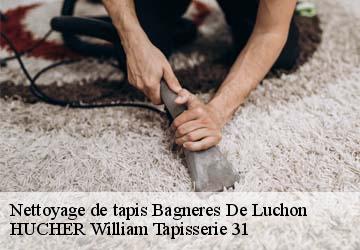 Nettoyage de tapis  bagneres-de-luchon-31110 HUCHER William Tapisserie 31