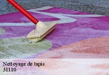Nettoyage de tapis  bagneres-de-luchon-31110 HUCHER William Tapisserie 31