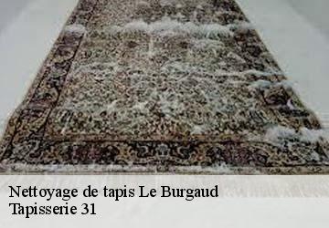Nettoyage de tapis le-burgaud-31330 Tapisserie 31
