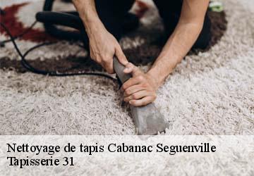 Nettoyage de tapis cabanac-seguenville-31480 Tapisserie 31