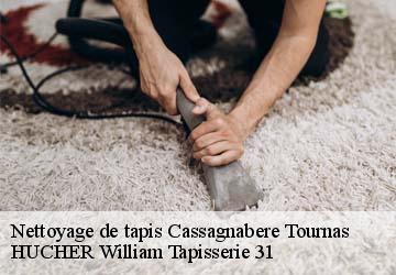 Nettoyage de tapis  cassagnabere-tournas-31420 HUCHER William Tapisserie 31