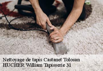 Nettoyage de tapis  castanet-tolosan-31320 HUCHER William Tapisserie 31