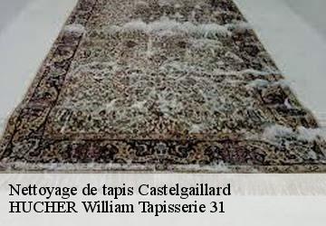 Nettoyage de tapis  castelgaillard-31230 HUCHER William Tapisserie 31