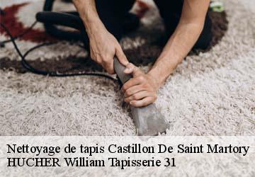 Nettoyage de tapis  castillon-de-saint-martory-31360 HUCHER William Tapisserie 31