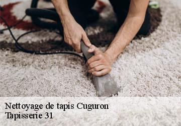Nettoyage de tapis cuguron-31210 Tapisserie 31