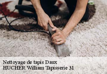 Nettoyage de tapis  daux-31700 HUCHER William Tapisserie 31