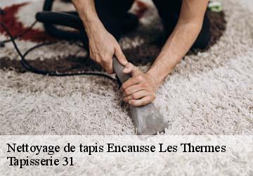 Nettoyage de tapis  encausse-les-thermes-31160 Tapisserie 31
