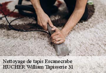 Nettoyage de tapis  escanecrabe-31350 HUCHER William Tapisserie 31
