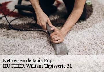 Nettoyage de tapis  eup-31440 HUCHER William Tapisserie 31