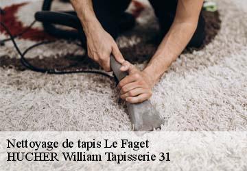 Nettoyage de tapis  le-faget-31460 HUCHER William Tapisserie 31