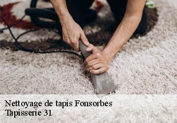 Nettoyage de tapis fonsorbes-31470 Tapisserie 31