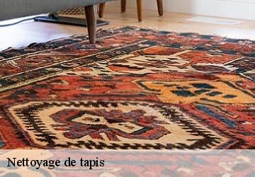 Nettoyage de tapis  fourquevaux-31450 HUCHER William Tapisserie 31
