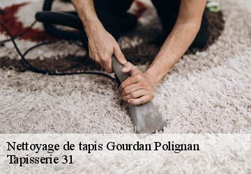 Nettoyage de tapis  gourdan-polignan-31210 Tapisserie 31