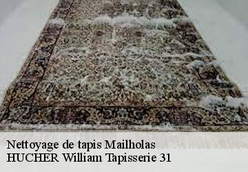 Nettoyage de tapis  mailholas-31310 HUCHER William Tapisserie 31