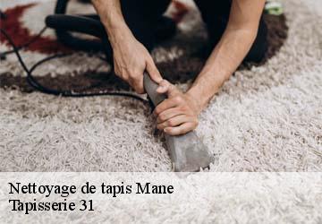 Nettoyage de tapis  mane-31260 Tapisserie 31