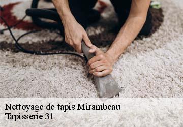 Nettoyage de tapis  mirambeau-31230 Tapisserie 31