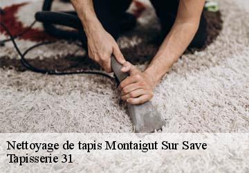 Nettoyage de tapis montaigut-sur-save-31530 Tapisserie 31