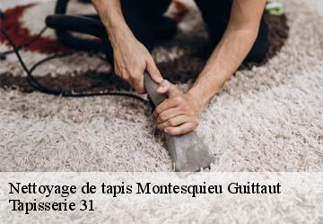 Nettoyage de tapis montesquieu-guittaut-31230 Tapisserie 31