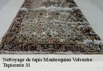 Nettoyage de tapis montesquieu-volvestre-31310 Tapisserie 31