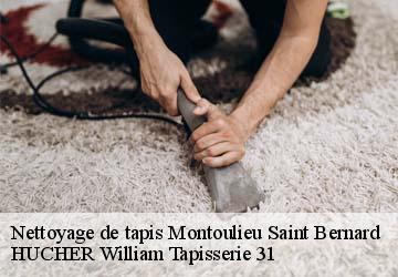 Nettoyage de tapis  montoulieu-saint-bernard-31420 HUCHER William Tapisserie 31