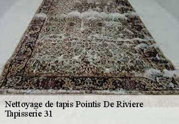 Nettoyage de tapis pointis-de-riviere-31210 Tapisserie 31