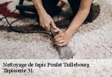 Nettoyage de tapis ponlat-taillebourg-31210 Tapisserie 31