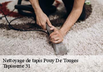 Nettoyage de tapis  pouy-de-touges-31430 Tapisserie 31