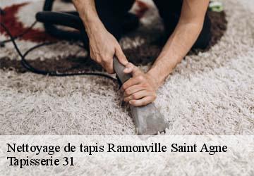 Nettoyage de tapis  ramonville-saint-agne-31520 Tapisserie 31