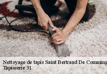 Nettoyage de tapis saint-bertrand-de-comminges-31510 Tapisserie 31