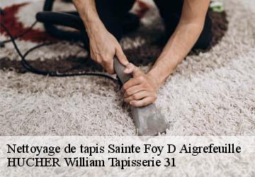 Nettoyage de tapis  sainte-foy-d-aigrefeuille-31570 HUCHER William Tapisserie 31